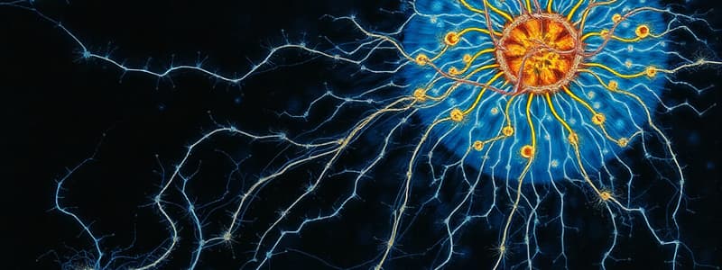 Cytoskeleton: Cell's Dynamic Infrastructure