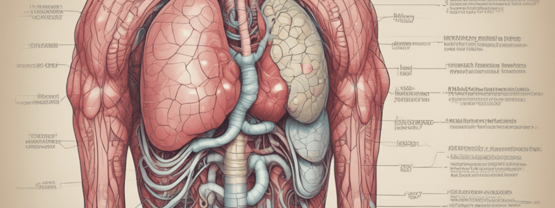 The Digestive System: Key Processes and Functions