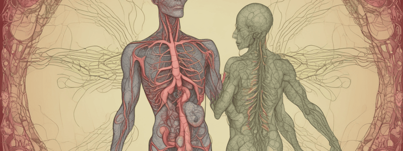 Lymphatic System: Functions, Components, and Regulation