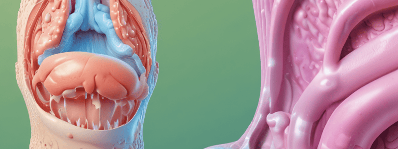 CM - Urinary Incontinence Quiz