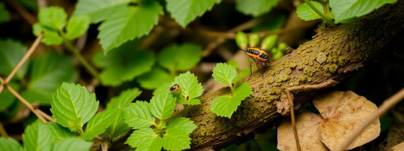 Biology Ecosystems Quiz