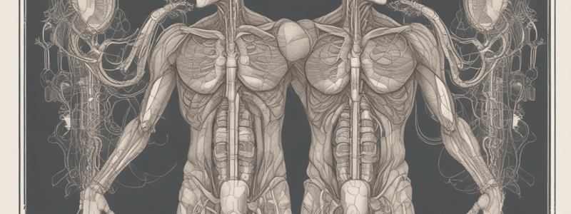 Urinary System Functions