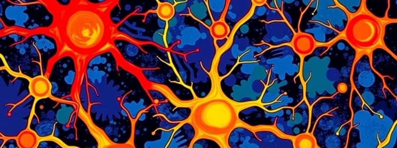 Neurons and Neurogenesis Overview