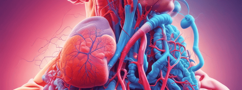 Respiratory and Cardiovascular System Quiz