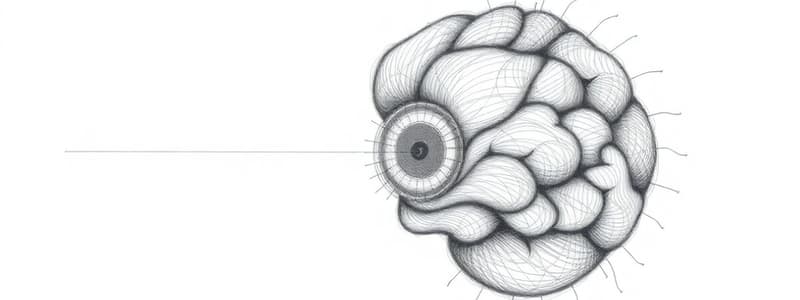 Adattamento Visivo: Luce e Buio (Fisiologia 78)