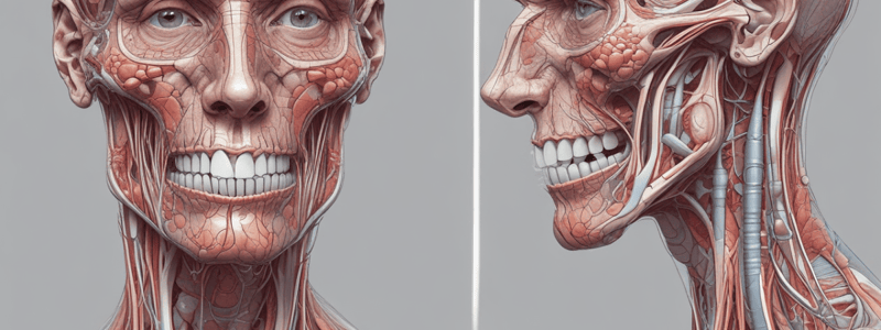 Salivary Glands Anatomy and Clinical Considerations