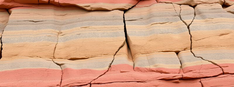 Sedimentary Rocks and Processes Quiz