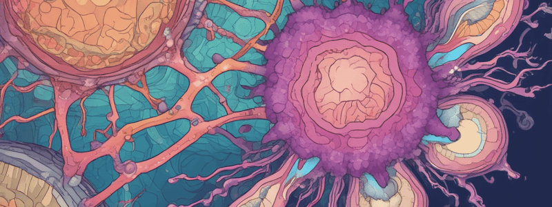 Lymphoid System in Histology