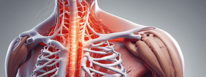 Musculoskeletal Chest Pain Syndrome