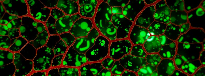 Cell-Cell Interactions Part 2