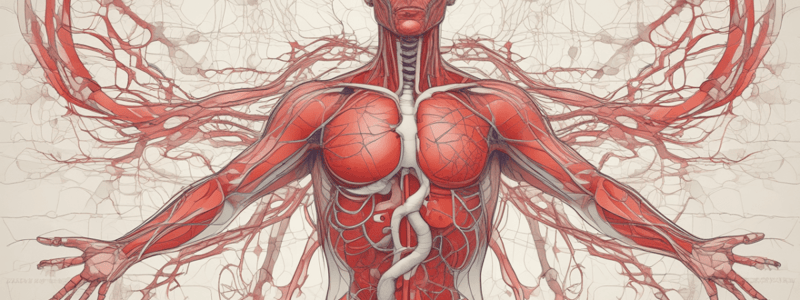 Cardiovascular and Lymphatic Diseases Week 10