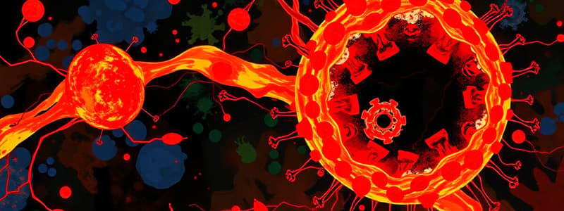 Inflammation and Immune Response