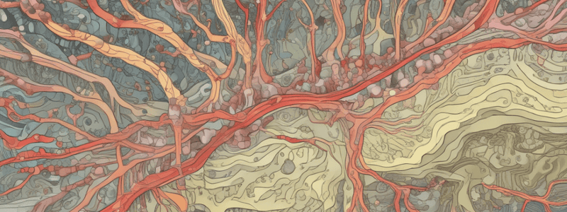 Trastornos de la Unión Neuromuscular: Miastenia Gravis