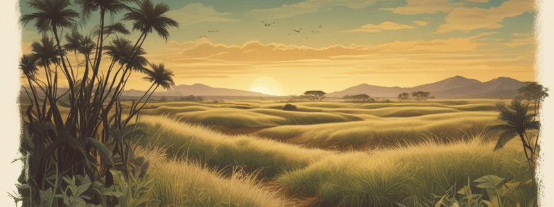 Tropical Grasslands and Savannas