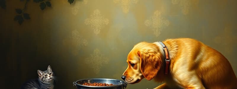 Dog and Cat Feeding Management