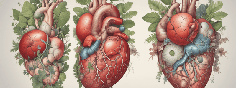 Organs and Organ Systems