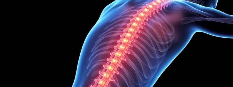 Estructura y Función del Sistema Nervioso Central