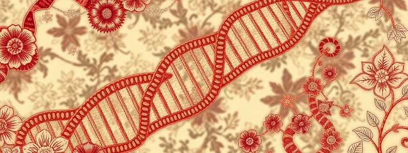 Transcription and RNA Processing