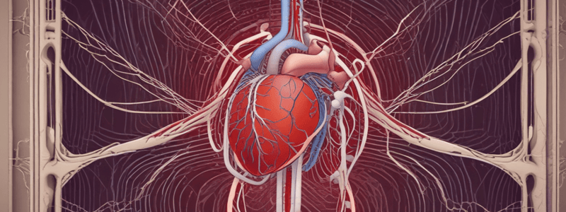 Cardiovascular System: Arteries and Veins