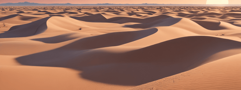 Understanding Erosion in Deserts