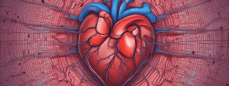 Common Heart Conditions and Diseases