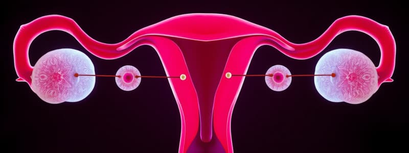 Ovarian Cycle and Follicle Development