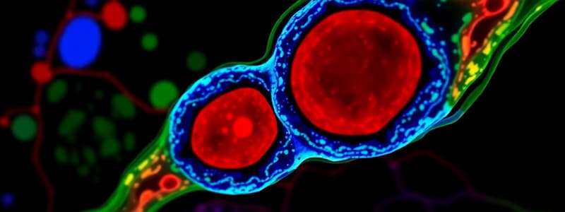 Cell Biology Junctions Quiz