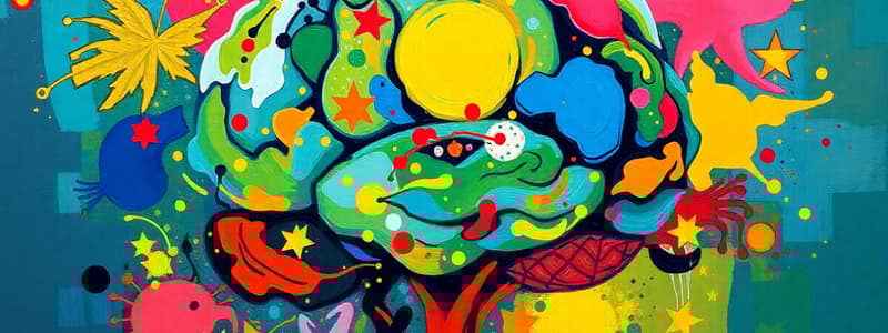 Neuroplasticity: Brain Development and Environment