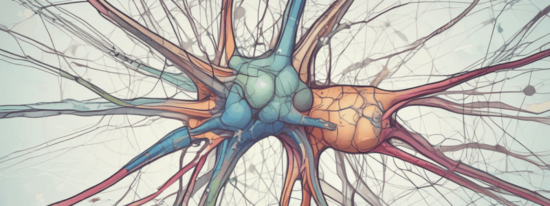 Tipos de Neuronas