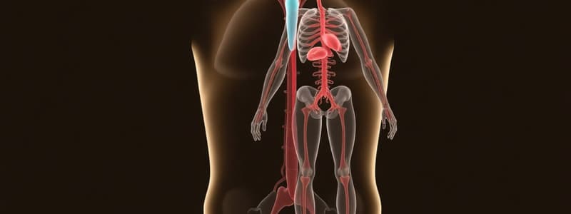 Human Growth & Endocrine System Overview