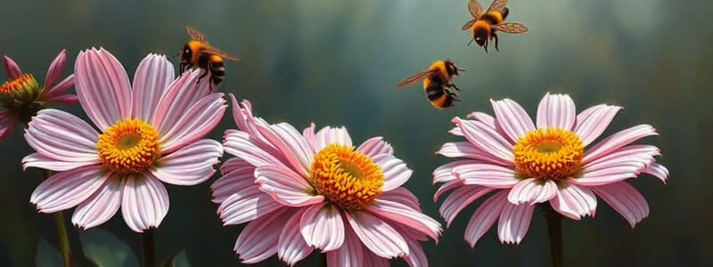 Interactions plantes - pollinisateurs