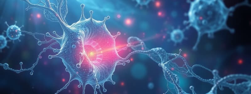 Biologie Cellulaire: Noyau et Taille