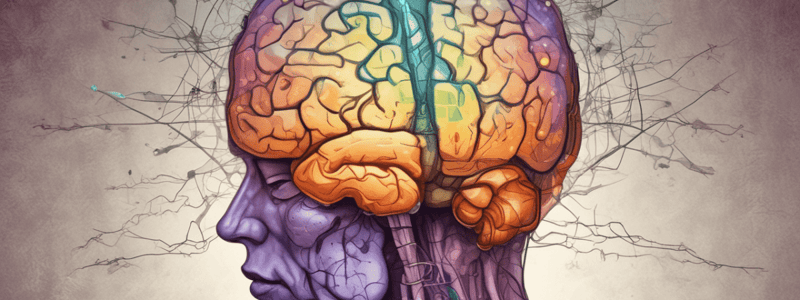 Traumatic Brain Injury (TBI) Quiz