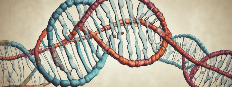 Restriction Endonucleases