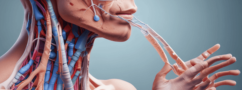 Respiratory System and Nasal Anatomy Quiz