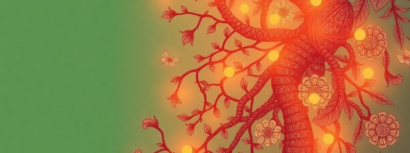 Biochemistry of Ketone Bodies and Cholesterol