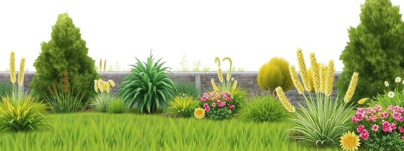 Lawn Care and Grass Types Quiz