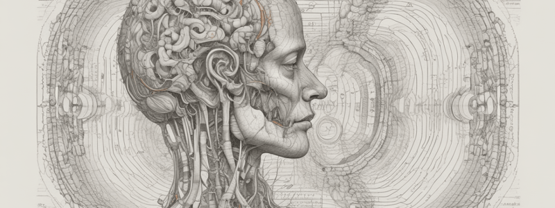 Auditory and Vestibular Pathways in Anatomy