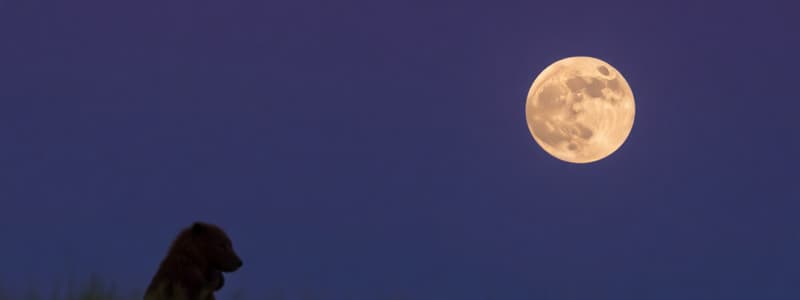 Beaver Moon: Astronomy Quiz