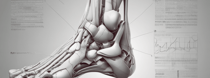 Anatomy of the Ankle Joint