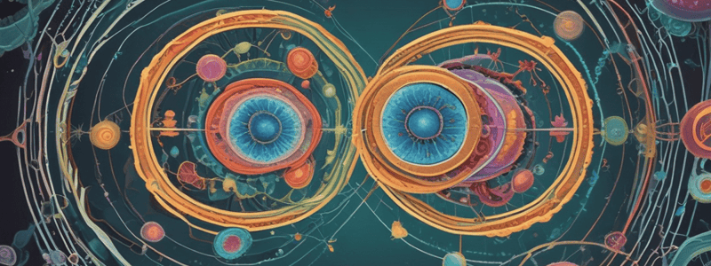 WK 3: Cell cycle and division