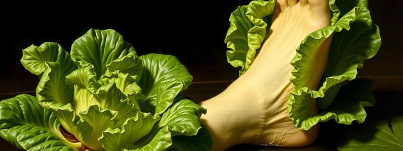 Internet Memes: Foot Lettuce Phenomenon