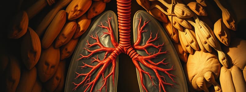 Respiratory Physiology Review