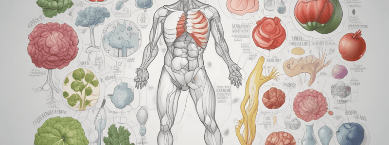 Lecture 9.1 - Calcium metabolism