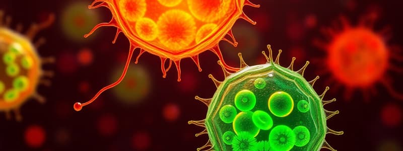 Biology Chapter: Cell Transport and Organelles