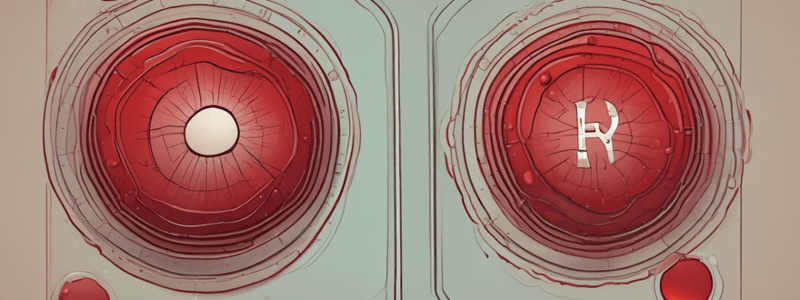 Blood Components and Functions