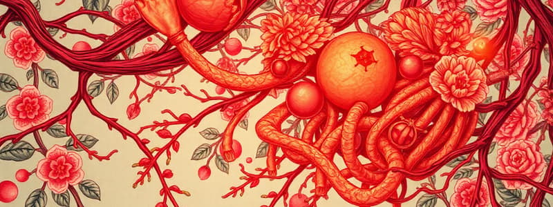 Hematopoiesis and Bone Marrow Structure