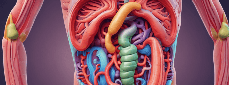 Digestive System Chapter 23.1 Quiz