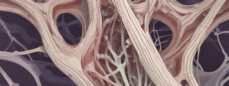 Biology: Cartilage Structure and Composition