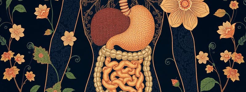 Homeostasis and Body Systems Quiz